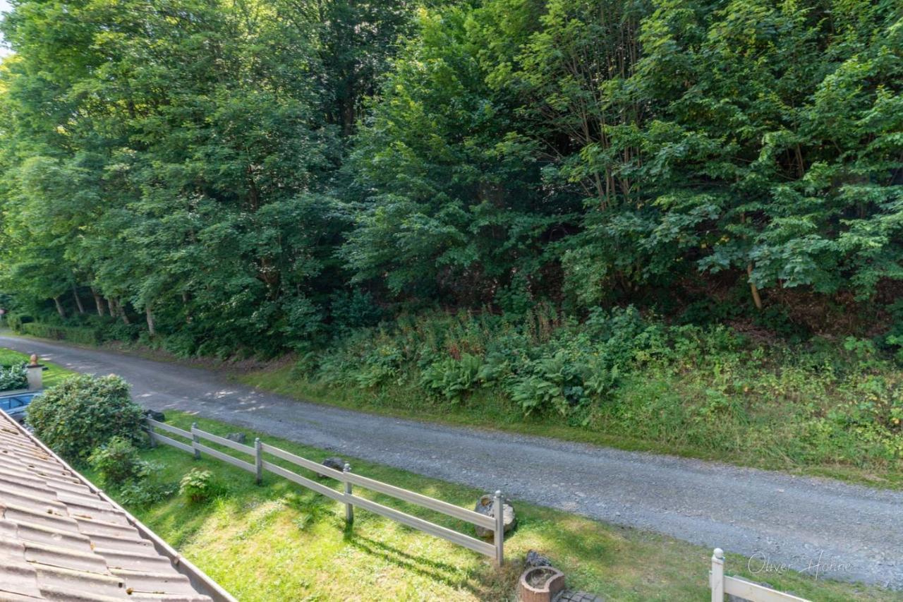 Ferienwohnung Am Waldrand Bad Laasphe Eksteriør bilde